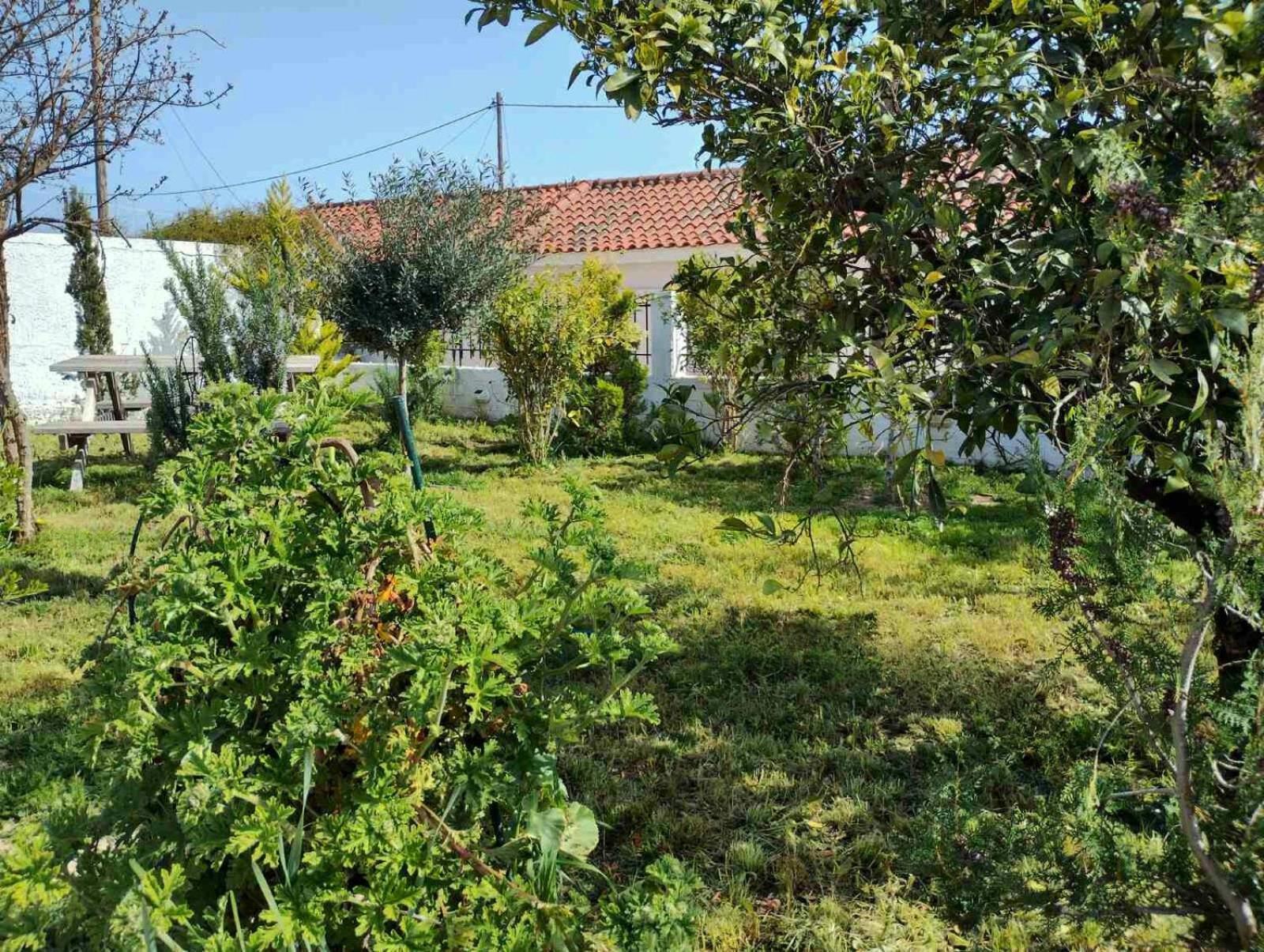 Nafplio Cottage-Grandma'S Yard Asíni Exteriér fotografie